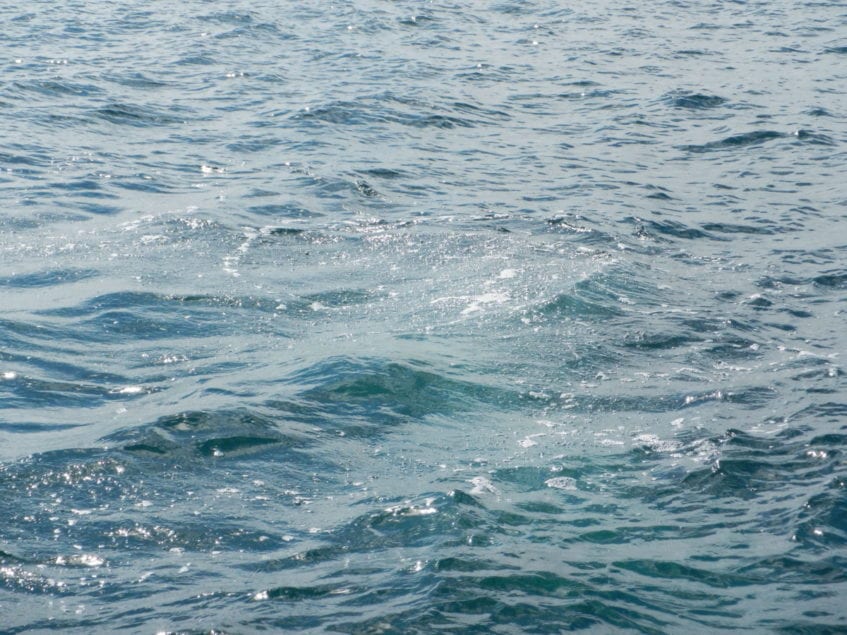 Deep 4 Andy and Neil with guest Zac Hawkins 12-08-16 (21)