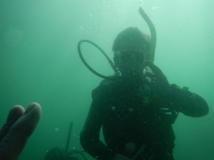 OW DSD Ethan & Percy 15-08-16 (1)