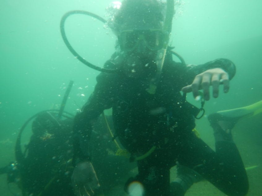 OW DSD Ethan & Percy 15-08-16 (9)