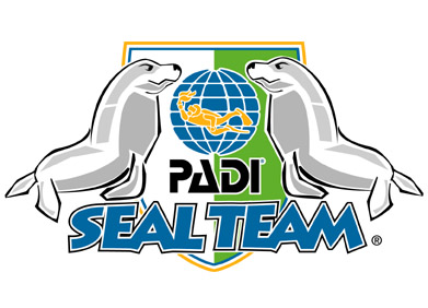 Seal Team Logo